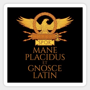 Classical Latin Language - Mane Placidus Et Gnosce Latin Magnet